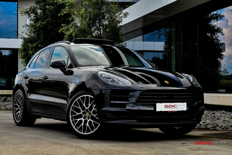 Macan