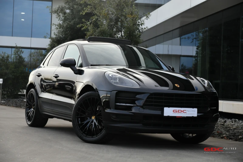 Macan